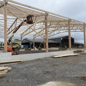 Assemblage de l'ossature en bois du bâtiment industriel