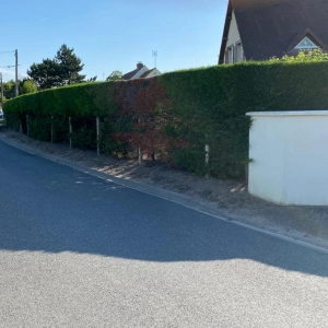 Haie d'une maison en Normandie