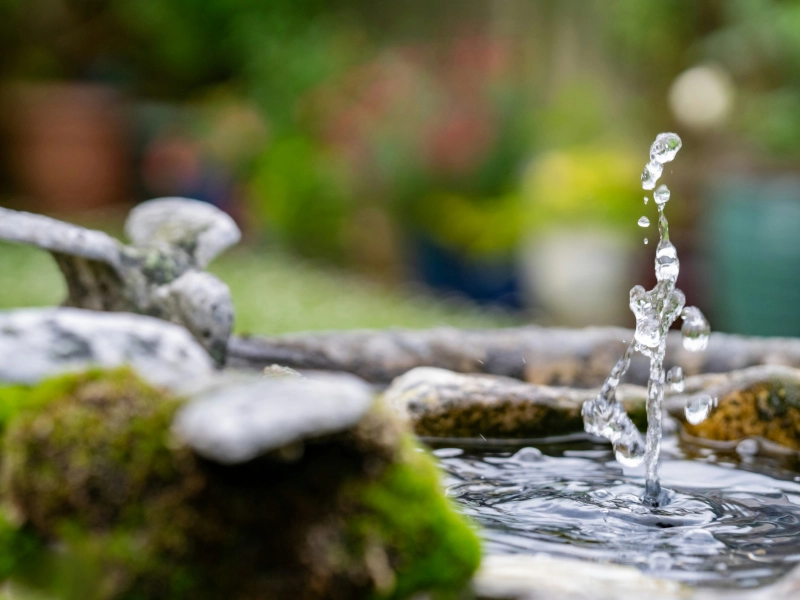 Une fontaine complète un aménagement extérieur pour une ambiance apaisante
