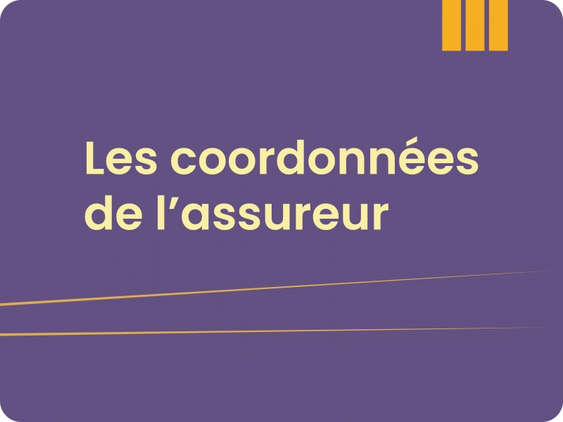 Fond violet, texte jaune